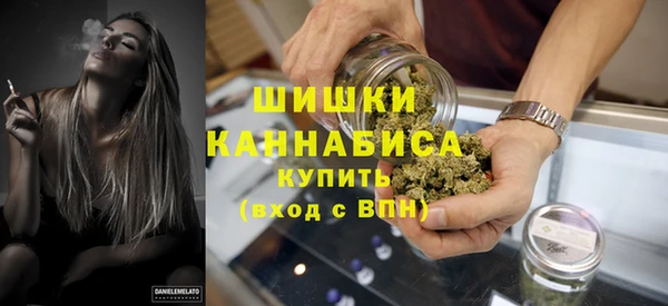 стаф Бородино
