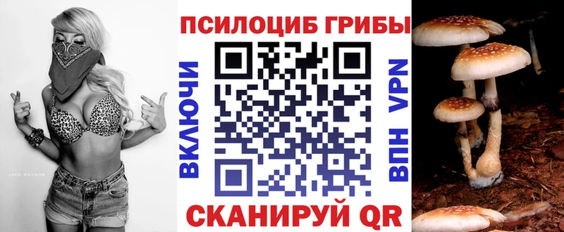 даркнет как зайти  Злынка  Псилоцибиновые грибы MAGIC MUSHROOMS  МЕГА зеркало 