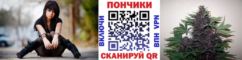 дарнет шоп  Злынка  гидра ссылка  Конопля марихуана 